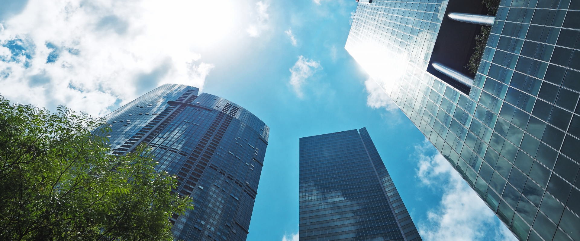 資産運用事業、経営コンサルティング事業、ワイン事業のACHT CAPITAL PARTNERS